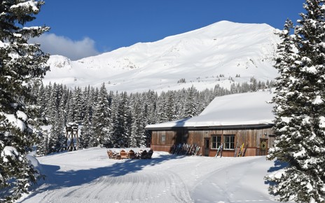 The exterior of the Cat Barn